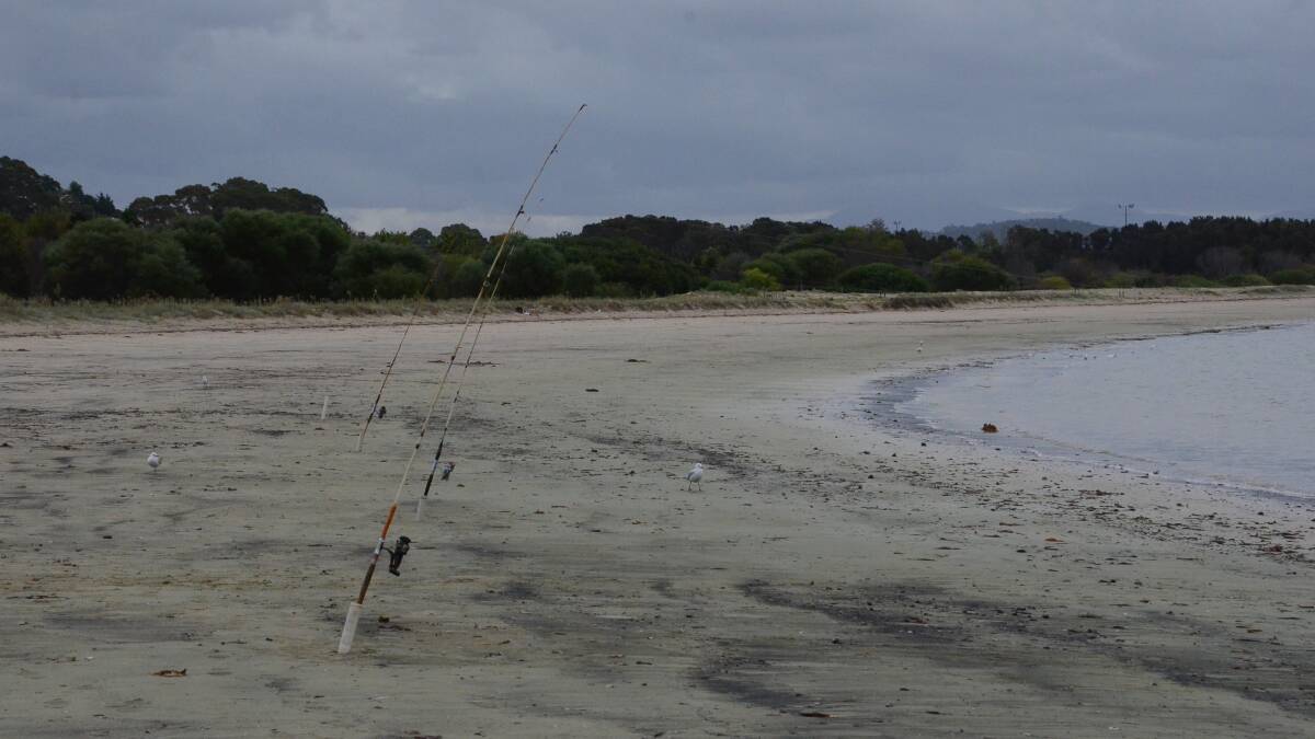 Have your say on recreational fishing in marine parks