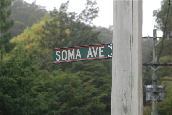 STREET FIGHT: Sleepy Soma Avenue in Bowral was the scene of a vicious brawl involving more than 60 people on Australia Day 2008.