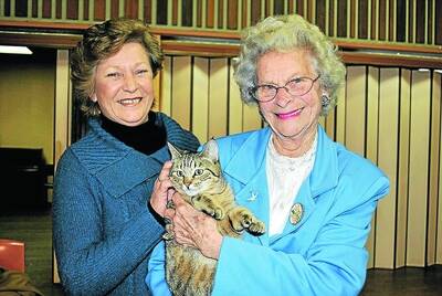 Julie and Betty Taylor with a pixie bob cat at the cat show on the weekend. 	Photo by Emma Biscoe
