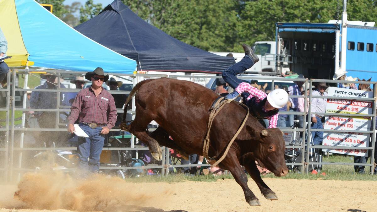 IT was the first rodeo held in the Highlands in eight years and the locals loved it.