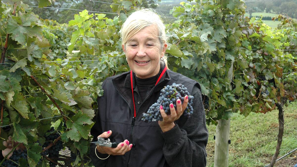 Diamond Creek Estate's Helen Hale is pictured in the vineyard where quality fruit has proved a key to he high ranking wines in the Wine Companion.