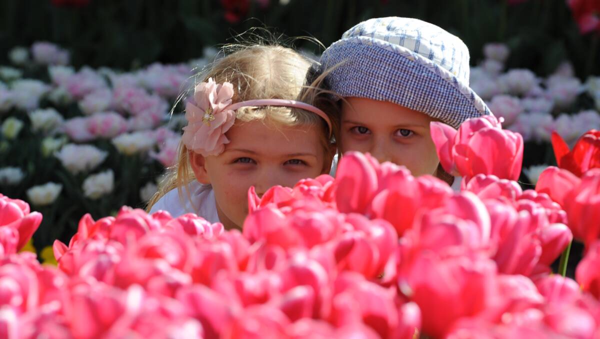 Sisters Karina and Simona Zubkoz playing peek a boo with the tulips.