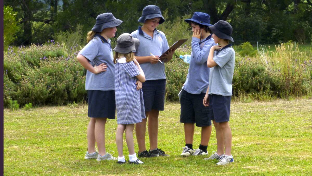 The children discuss their local food options as they are faced with a scenario where they are stuck in Kangaroo Valley and need to survive!