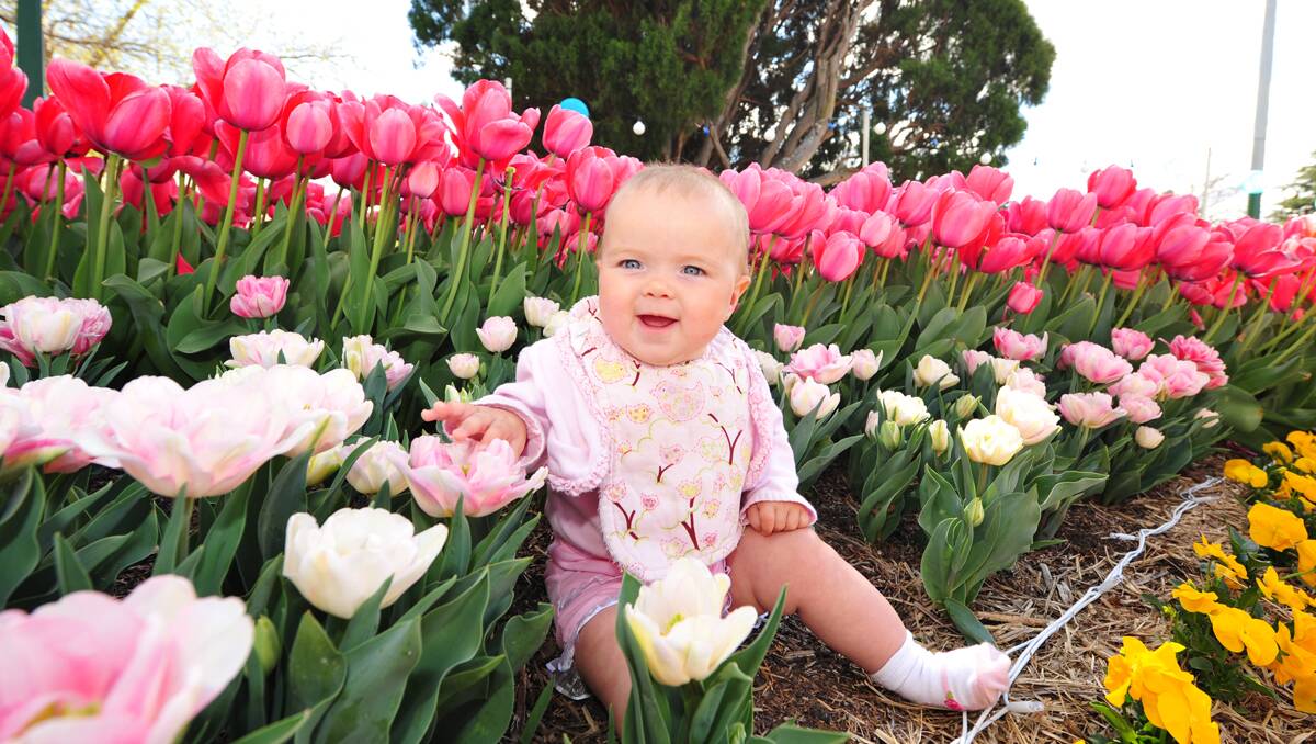 Phoebe Farlow is so happy to be in the tulips.
