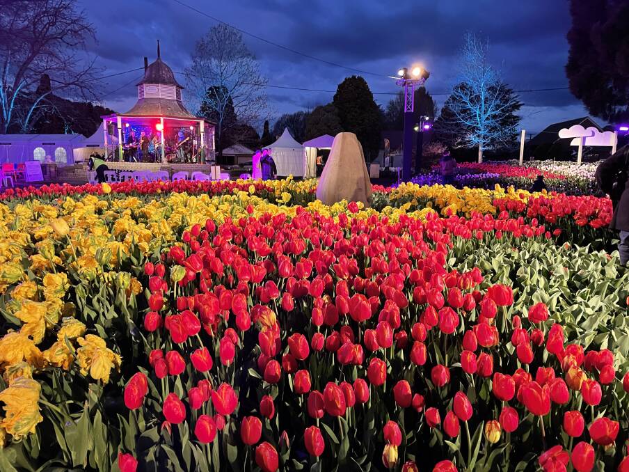There is lots to ejjoy at Tulips After Dark. Picture by Briannah Devlin