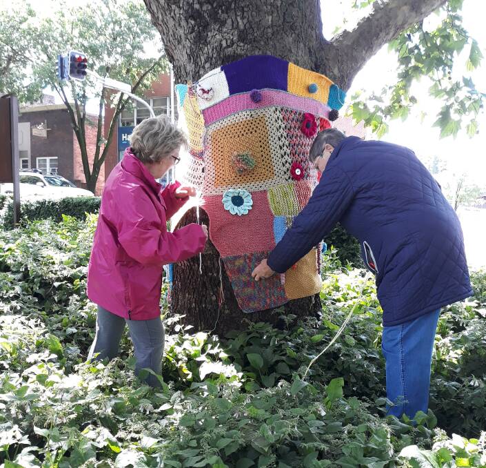 Moss Vale Evening CWA have brought the trees in Leighton Park to life with their yarn bombing. Photo: Jennifer Bowe