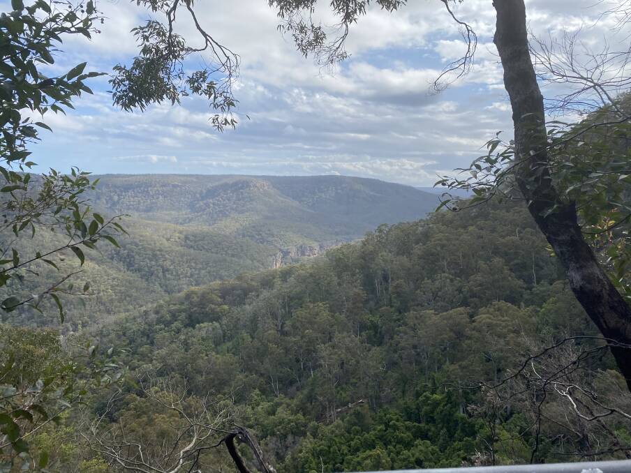 One of the many spectacular views that can be discovered on a journey through Fairy Bower Falls in Bundanoon. Picture: Briannah Devlin 