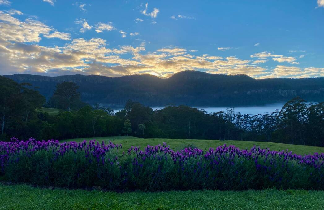 The honeymoon showed what people could discover in Kangaroo Valley. Picture: Supplied 