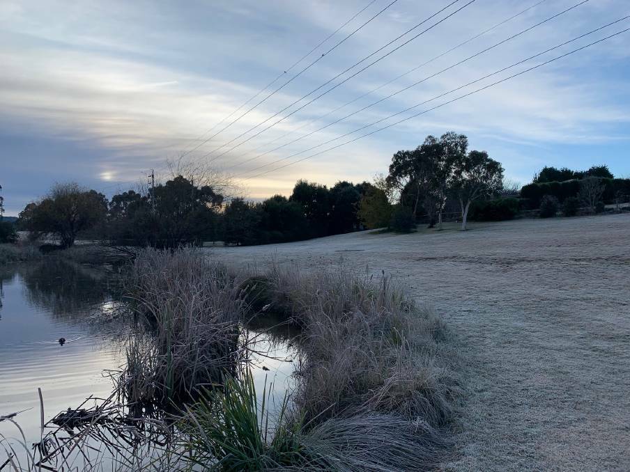 It was frosty near the Southern Highlands Botanic Gardens in Bowral. Photo: Jackie Meyers
