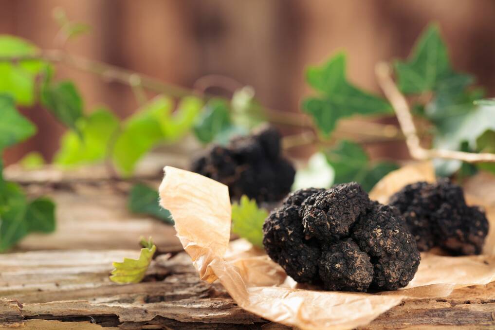 There is more to truffles than you think. Photo: Supplied 