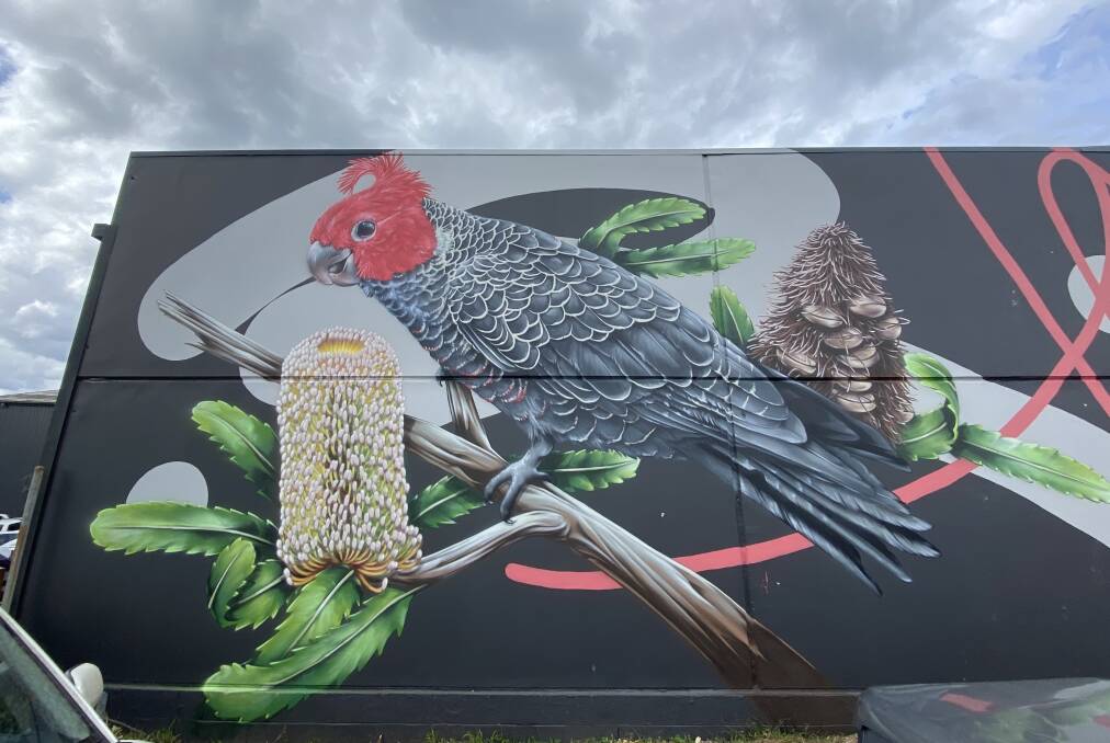 A Gang-gang Cockatoo has been spray painted at Dirty Janes by a renowned Australian artist. Picture: Briannah Devlin