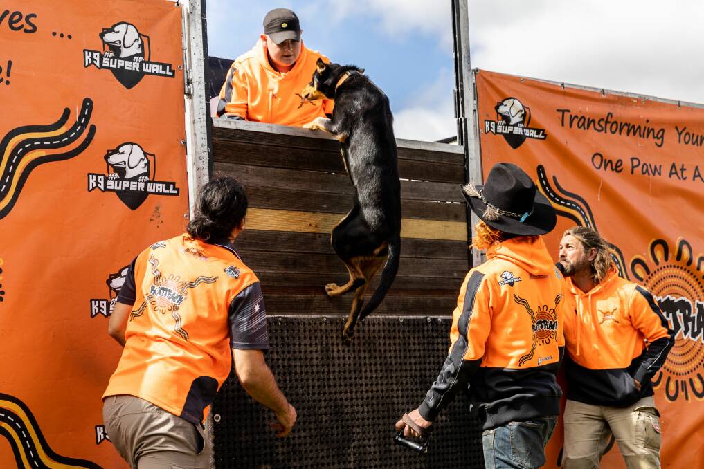 Dogs and their handlers will entertain everyone at the show. Picture supplied. 