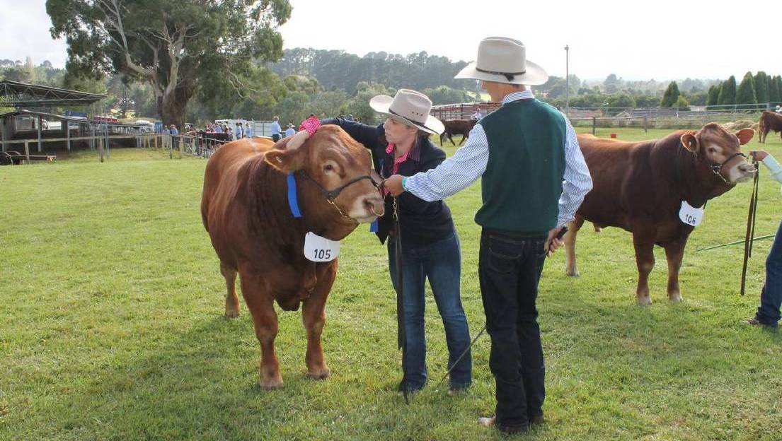 There is plenty for everyone to enjoy at the Moss Vale Show. Picture: File 