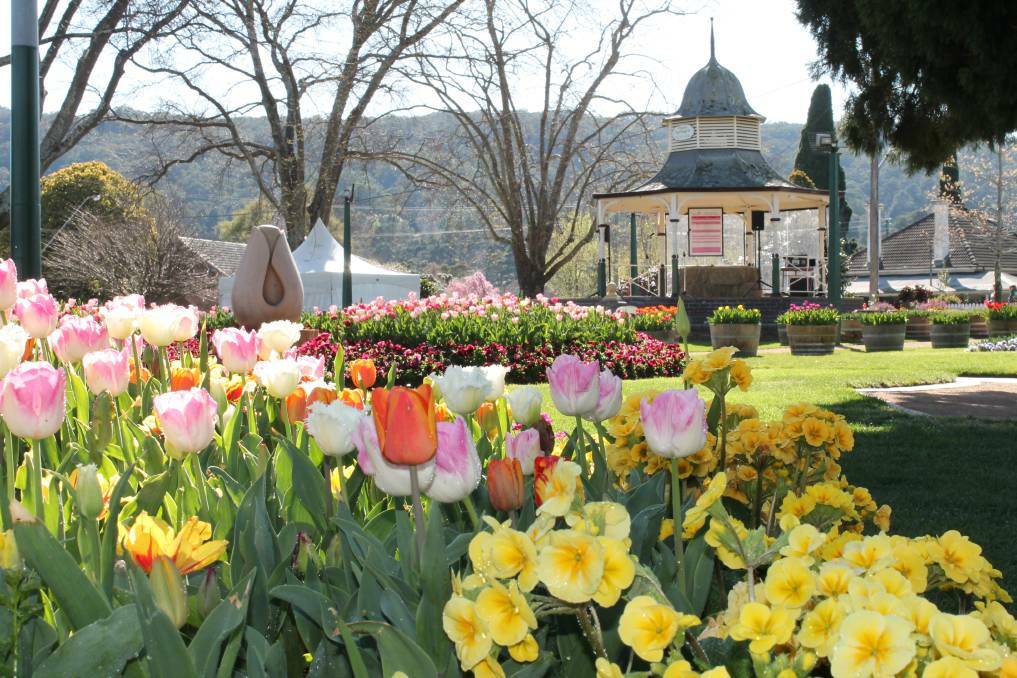 A virtual tour of 127,000 spectacular tulips and 15,000 stunning annual flowers will be unveiled on September 30 for people to enjoy at home. Photo: file