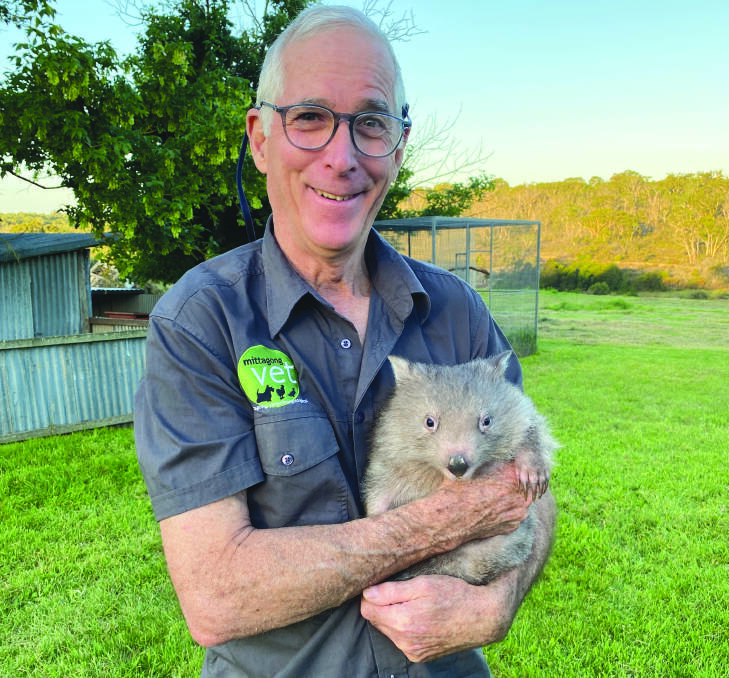 Mittagong Vet Hospital's Dr Keith McKellar Stewart wrote a piece in a German zoo's magazine all about wombats. Picture: Supplied 