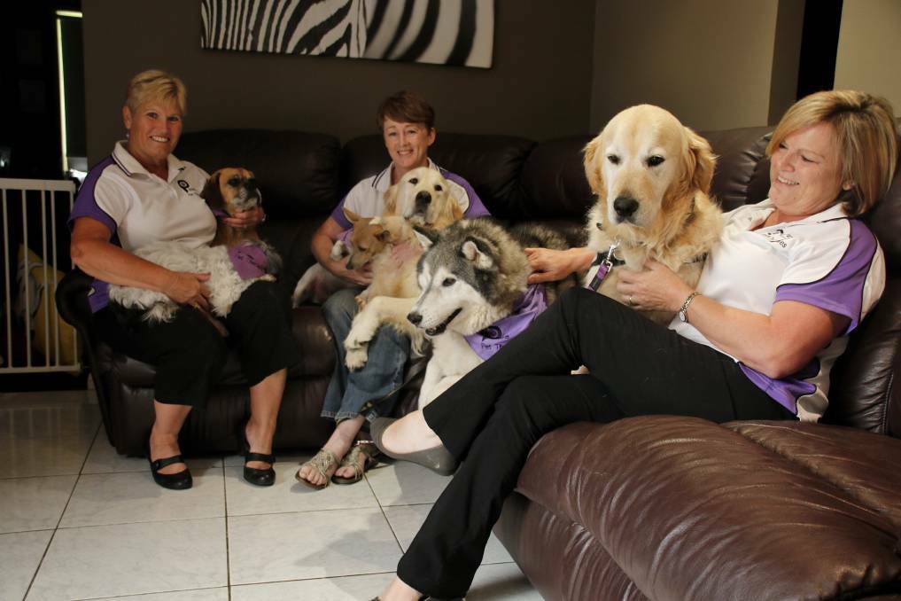  Paws Pet Therapy volunteer Maria Morton with Ben and RJ, Paws 'n' Tales co-ordinator Lisa McKay with Ringo and Rocky, and Paws Pet Therapy president Sharon Stewart with Zep and Hudson. Photo: Victoria Lee. 