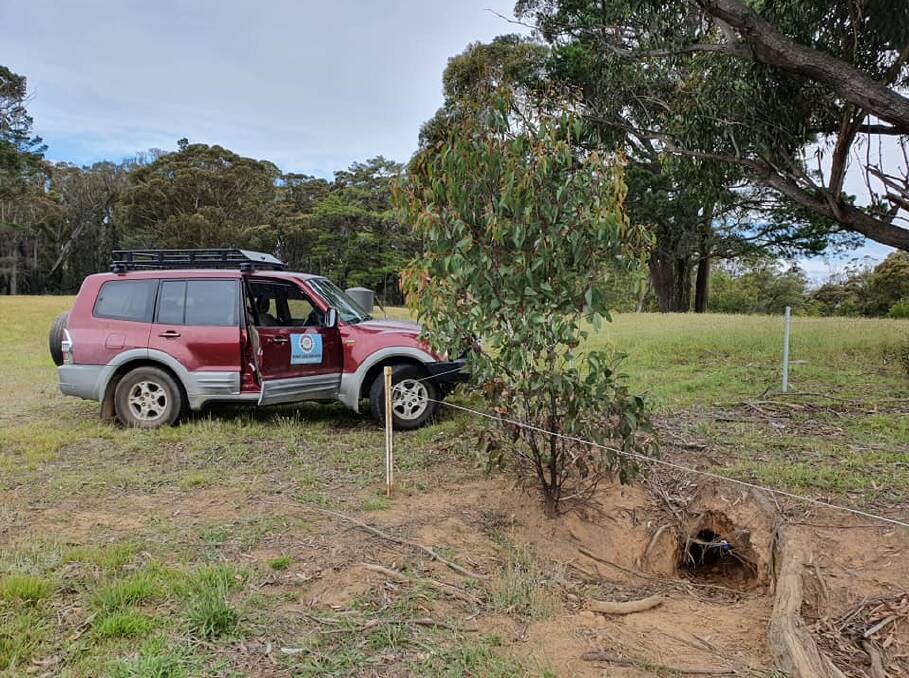 The Wom-Bat Mobile has been stocked for any wombat situation. Picture: Wombat Care Bundanoon 