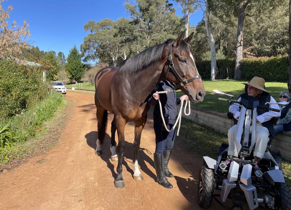 Tobruk went over and said hello to Ernie. Picture: Briannah Devlin