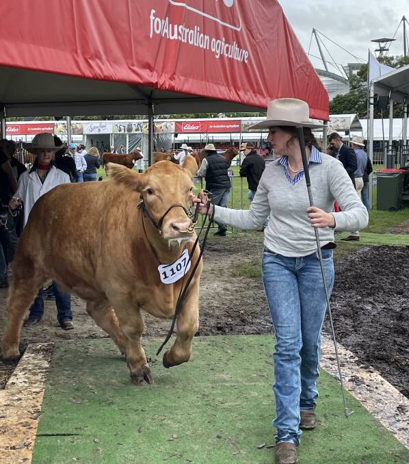 Charlotte with Chevalier's heavyweight steer. Picture: Supplied
