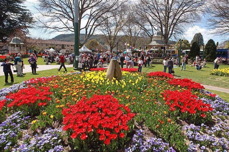 Crowds gather for the dazzling blooms and community events offered every Tulip Time. Photo: Dee Kramer