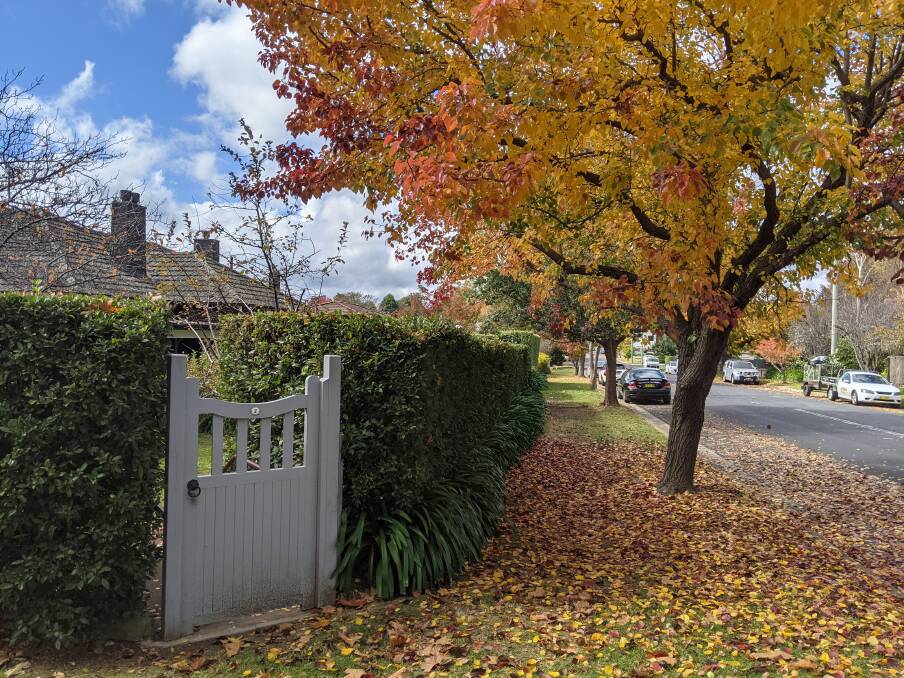 Immerse yourself in the histories of Mittagong's streets in this unique book. Picture: Heather Champion