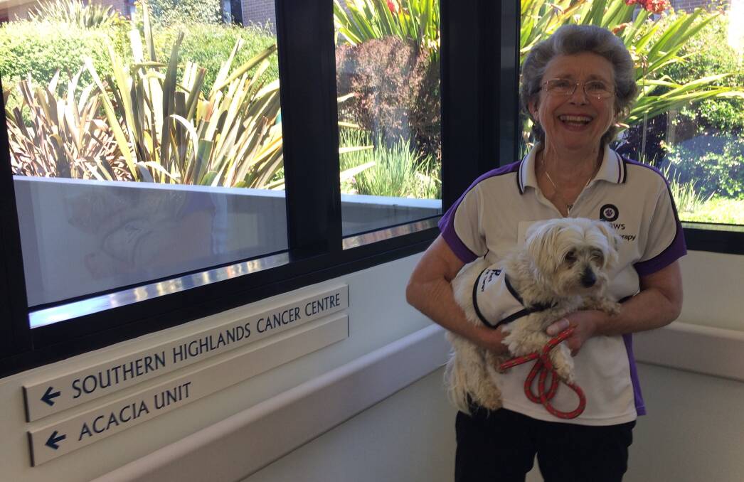 Gwen and Minty ready to greet patients at the Southern Highlands Cancer Centre. Photo: supplied (PAWS Pet Therapy)
