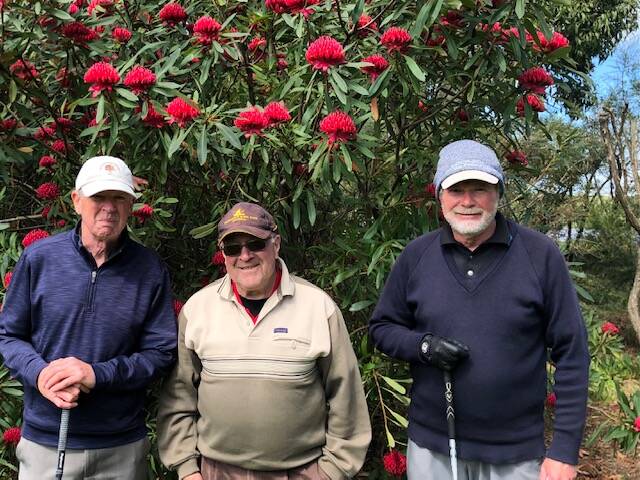 Left to right: Members Stephen Brabyn, Stephen Hancock and Mark Williams on the 12th Tee, sponsored by Haille Paine Solicitors. Photo: supplied