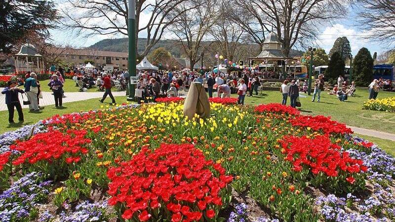 Crowds are back in the Southern Highlands. Picture: Dee Kramer