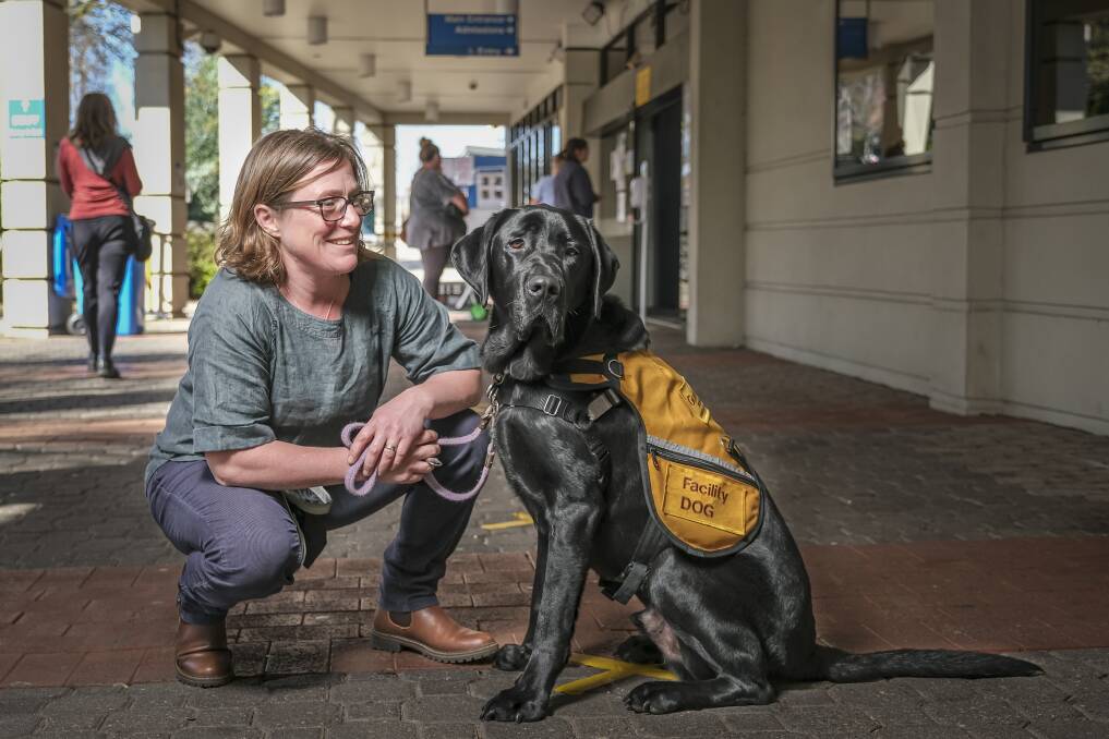 DR DOG: Launceston General Hospital Director of Emergency Department Lucy Reed and Gilbert the Facility Dog. Picture: Craig George 