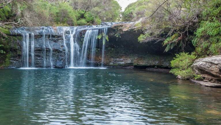 Swimming hole: Nellies Glen is a popular picnic area with a waterhole and waterfall. perfect for children. Picture: NSW National Parks & Wildlife Service/Michael Van Ewijk 