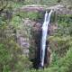 Sound of the falls: You will be able to hear the waterfall from Carrington Falls picnic area. Picture: NSW National Parks & Wildlife Service/Andrew Richards 