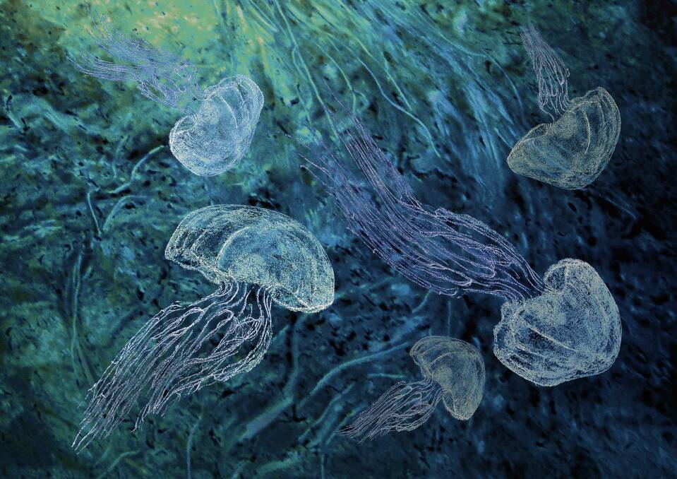 Jellyfish by Kathie Atkinson. Picture: Supplied.