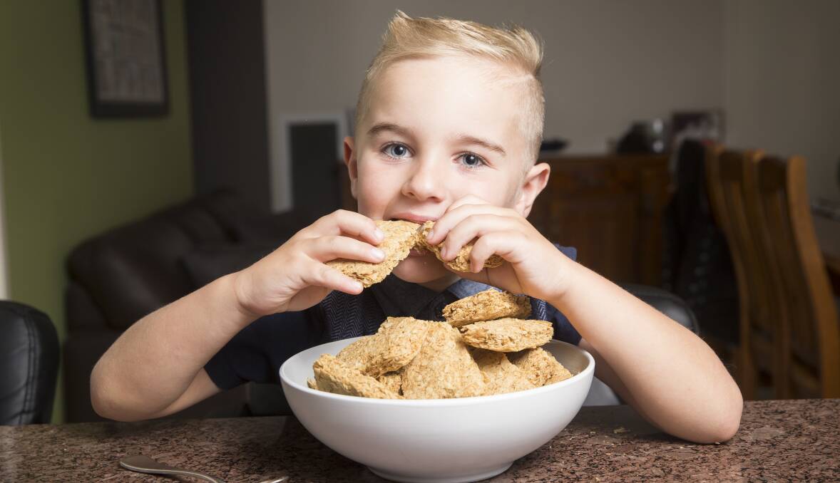 In 2014 kindergarten student Linkin Broers attempted to eat 20 Weet-Bix to raise money for SIDS and KIDS. Picture by Matt Bedford