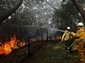 Fire authorities have confirmed an increase bushfire risk this summer. File picture