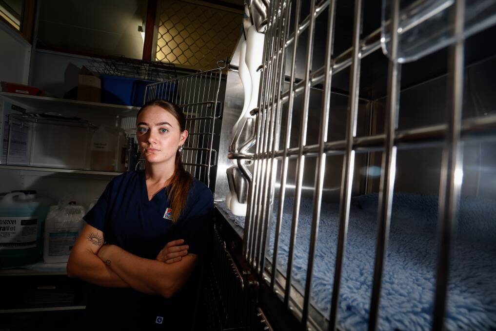 Shannon Newman a veterinary nurse at Oak Flats Veterinary Clinic which has concerns about the Shellharbour council's new stray animal policy. Picture by Anna Warr