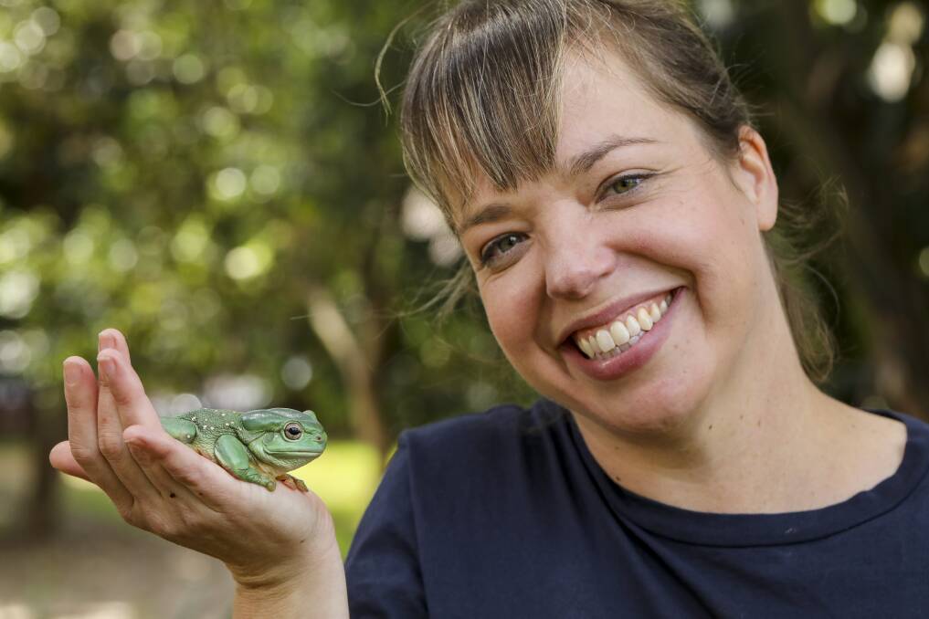 Toadally Awesome: Dr Jodi Rowley with a magnificent tree frog. Picture: Salty Dingo 