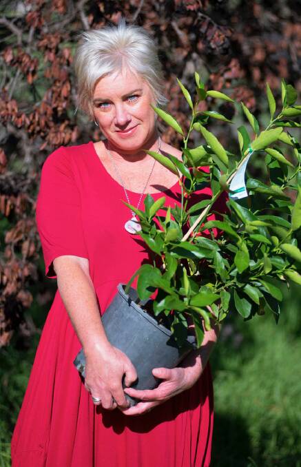 Kylie Miller with the lime tree donated as part of it a pay-it-forward scheme. Photo: Australian Geographic