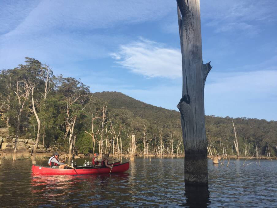 Wildfest will run from Friday, October 27 until Sunday, October 28, and includes a canoe trip through the sunken forest in Yarrunga Creek in Morton National Park. Photo: Charli Shield. 