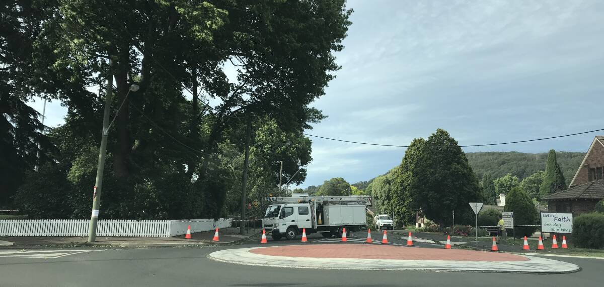 SPARKY SITUATION: A tree came down in Corbett Gardens over the weekend and took power lines down with it. Photo: Supplied. 