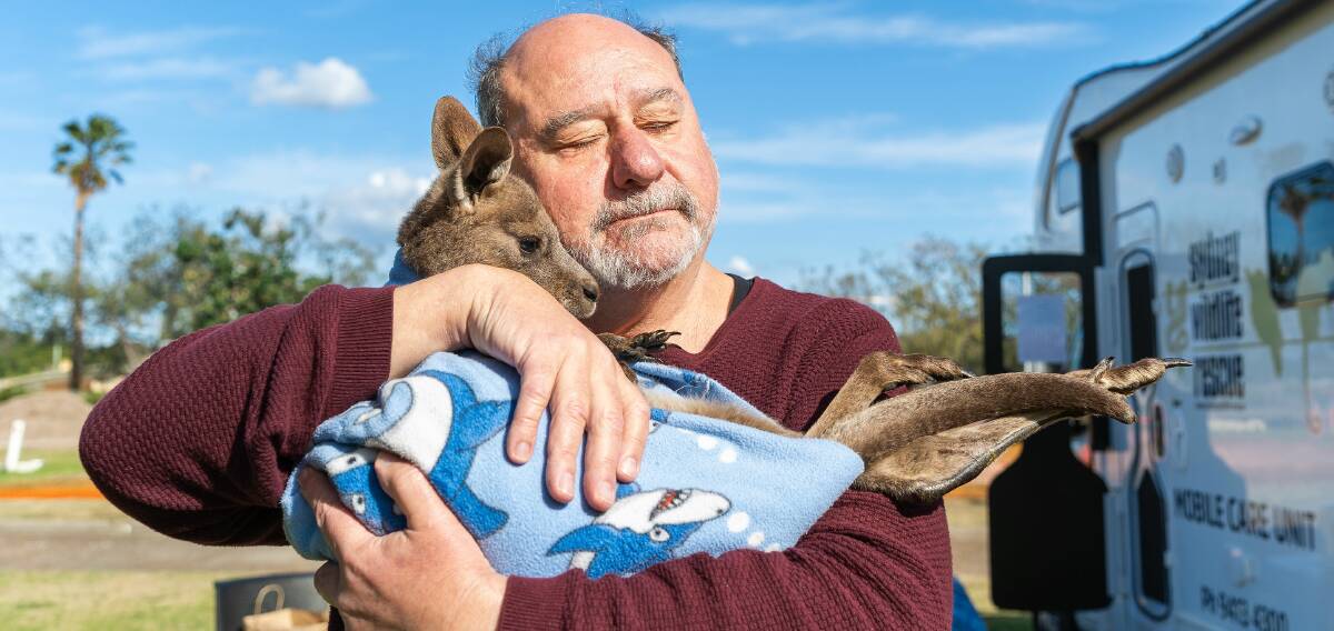 Southern Highlands community calls for moratorium on kangaroo slaughter