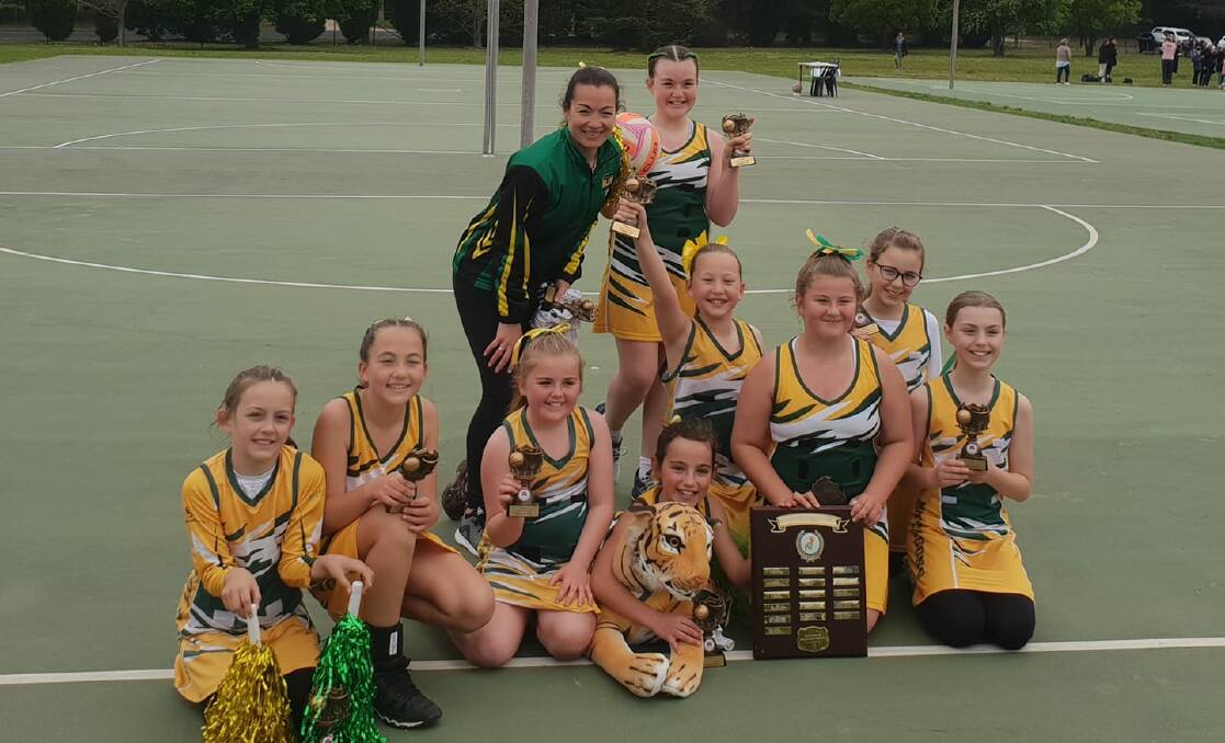 HEAR THEM ROAR: The Mittagong Wildcat's division two team are champions. Photo: MNC.