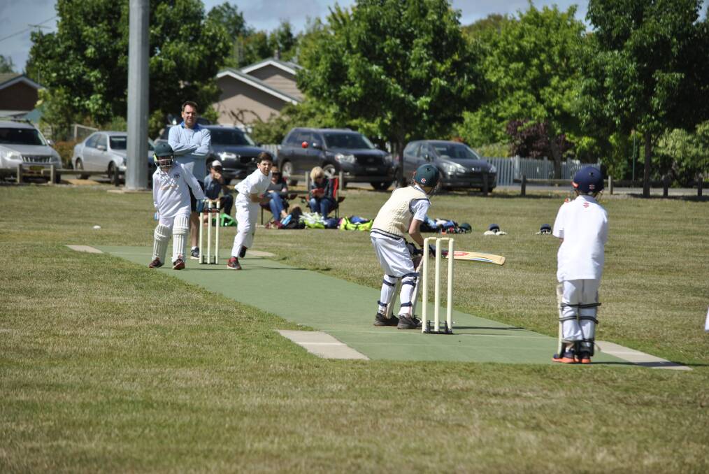 Junior cricket being played at Stephens Park in Bowral. 