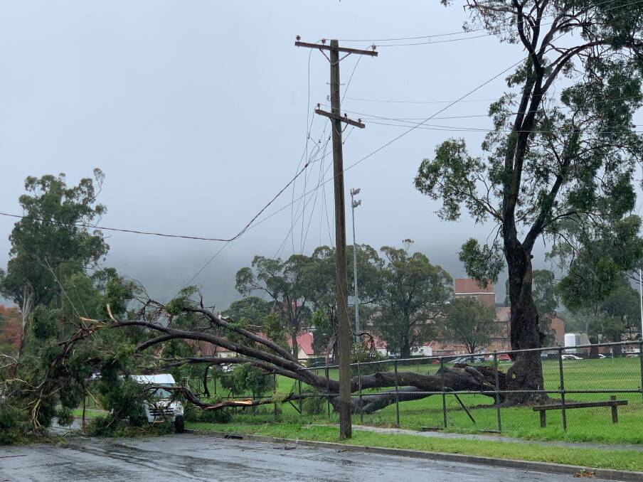 A tree had fallen on Sheffield Road in Bowral on Tuesday, March 23 heavy rain filled afternoon. Photo: David Chandler. 