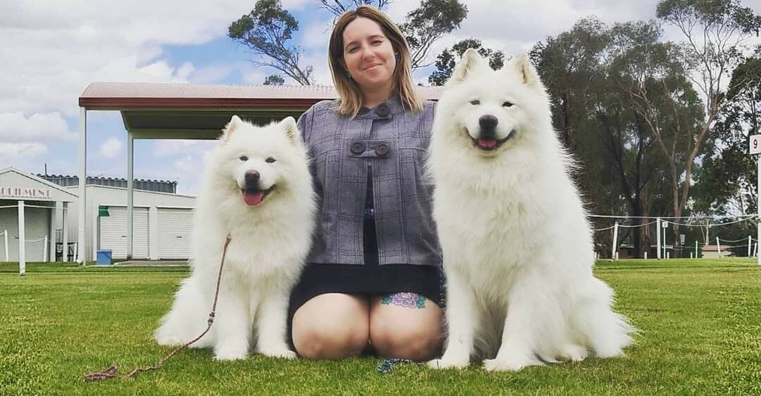 MISSING: Hill Top's Tabitha Turner with her two Samoyeds Glinda (left) and Weston (right). Weston has been missing since March 7, 2021 and Tabitha is doing everything she can to get him back. Photo: Supplied. 
