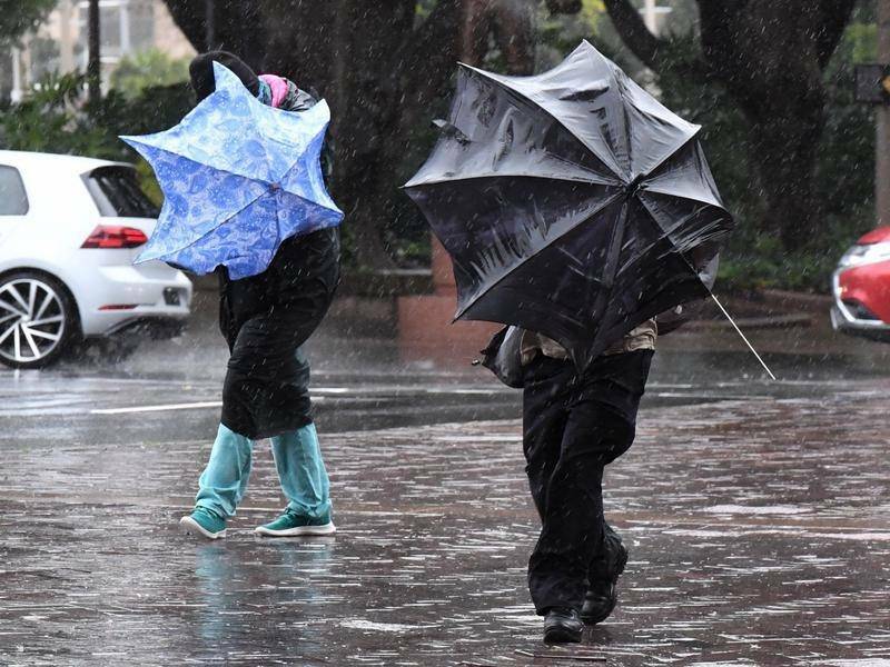 BROLLYS UP: The Southern Tableland region is set to have a cold, wet and windy August 7-9 weekend. Photo: File