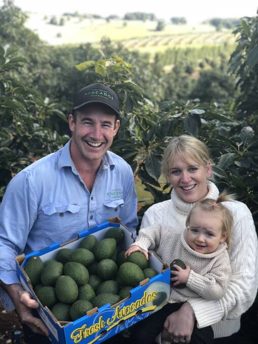 Nathan Bell from Ingleside Avocados on the Comboyne Plateau with his wife Grace and daughter Tallulah. 