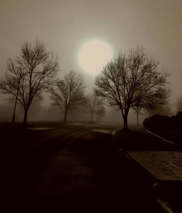The break of dawn: This eerie sunrise scene was captured on camera at East Bowral by Boris Zemljacenko.
