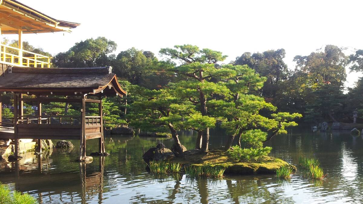 Julie Lawless snapped this stunning scene of Kinkakuji, commonly known as the Golden Pavillion at Kyoto.