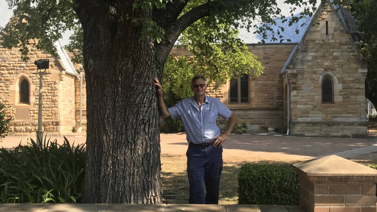 Arborist Guy O'Donnell stands beside one of the trees, he has worked to revitalise, in the grounds of St Stephens Anglican Church in Mittagong. Photo supplied