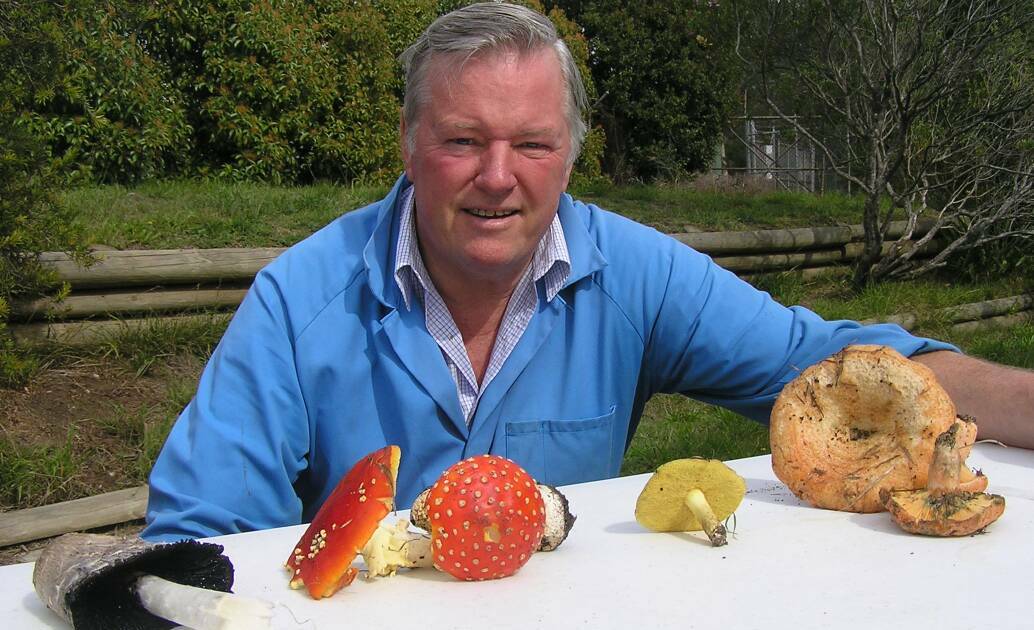 Dr Noel Arrold of Lin Sun Mushrooms was a man in the know when it came to mushrooms. Photo: supplied